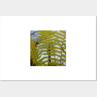 Green Fern in The Forest Posters and Art